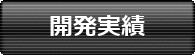 開発実績